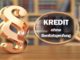 Kredit ohne Bonitätsprüfung