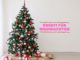 Kredit für Weihnachten in Österreich
