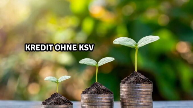 Kredit ohne KSV